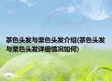 茶色頭發(fā)與栗色頭發(fā)介紹(茶色頭發(fā)與栗色頭發(fā)詳細(xì)情況如何)