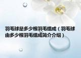 羽毛球是多少根羽毛組成（羽毛球由多少根羽毛組成簡(jiǎn)介介紹）