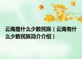 云南是什么少數(shù)民族（云南有什么少數(shù)民族簡介介紹）
