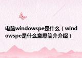 電腦windowspe是什么（windowspe是什么意思簡(jiǎn)介介紹）