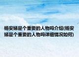楊安娣是個重要的人物嗎介紹(楊安娣是個重要的人物嗎詳細情況如何)