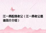 江一燕配偶老公（江一燕老公是誰簡(jiǎn)介介紹）