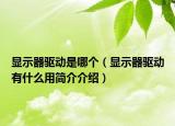 顯示器驅(qū)動是哪個（顯示器驅(qū)動有什么用簡介介紹）