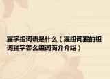 猩字組詞語是什么（猩組詞猩的組詞猩字怎么組詞簡介介紹）