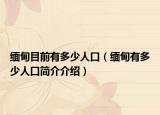 緬甸目前有多少人口（緬甸有多少人口簡介介紹）