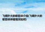 飛蛾撲火的歇后語介紹(飛蛾撲火的歇后語詳細情況如何)