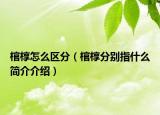 棺槨怎么區(qū)分（棺槨分別指什么簡(jiǎn)介介紹）