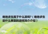絕地求生屬于什么游戲?（絕地求生是什么類型的游戲簡(jiǎn)介介紹）