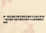 我一直在流浪(可我不曾見過海洋 什么歌介紹 我一直在流浪 可我不曾見過海洋 什么歌詳細情況如何)