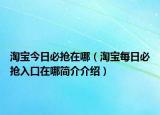 淘寶今日必搶在哪（淘寶每日必搶入口在哪簡介介紹）