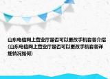 山東電信網(wǎng)上營業(yè)廳是否可以更改手機(jī)套餐介紹(山東電信網(wǎng)上營業(yè)廳是否可以更改手機(jī)套餐詳細(xì)情況如何)
