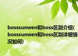 bosssunwen和boss區(qū)別介紹(bosssunwen和boss區(qū)別詳細情況如何)