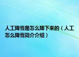 人工降雪是怎么降下來的（人工怎么降雪簡介介紹）