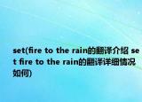 set(fire to the rain的翻譯介紹 set fire to the rain的翻譯詳細情況如何)