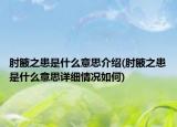 肘腋之患是什么意思介紹(肘腋之患是什么意思詳細(xì)情況如何)