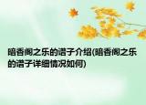 暗香閣之樂的譜子介紹(暗香閣之樂的譜子詳細情況如何)