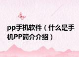 pp手機(jī)軟件（什么是手機(jī)PP簡(jiǎn)介介紹）