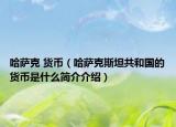 哈薩克 貨幣（哈薩克斯坦共和國(guó)的貨幣是什么簡(jiǎn)介介紹）