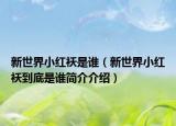 新世界小紅襖是誰（新世界小紅襖到底是誰簡介介紹）