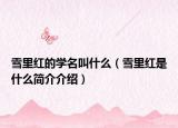 雪里紅的學(xué)名叫什么（雪里紅是什么簡介介紹）