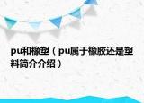 pu和橡塑（pu屬于橡膠還是塑料簡介介紹）