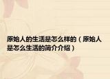 原始人的生活是怎么樣的（原始人是怎么生活的簡介介紹）