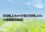 打印機上dum介紹(打印機上dum詳細情況如何)