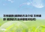 怎樣建群(建群的方法介紹 怎樣建群 建群的方法詳細(xì)情況如何)