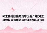 神之墓地妖皇號角怎么合介紹(神之墓地妖皇號角怎么合詳細情況如何)