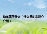 動車屬于什么（什么是動車簡介介紹）