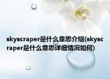 skyscraper是什么意思介紹(skyscraper是什么意思詳細情況如何)