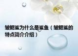 皺鰓鯊為什么是鯊魚（皺鰓鯊的特點(diǎn)簡介介紹）