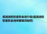 借酒消愁愁更愁全詩介紹(借酒消愁愁更愁全詩詳細(xì)情況如何)