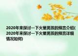 2020年來探討一下火星男孩的預言介紹(2020年來探討一下火星男孩的預言詳細情況如何)