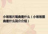 小爸爸片尾曲是什么（小爸爸插曲是什么簡(jiǎn)介介紹）