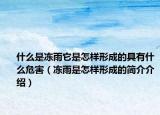 什么是凍雨它是怎樣形成的具有什么危害（凍雨是怎樣形成的簡介介紹）