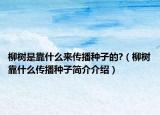 柳樹是靠什么來傳播種子的?（柳樹靠什么傳播種子簡介介紹）