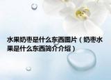 水果奶棗是什么東西圖片（奶棗水果是什么東西簡(jiǎn)介介紹）