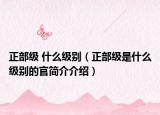 正部級 什么級別（正部級是什么級別的官簡介介紹）
