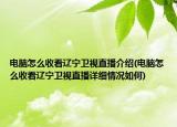 電腦怎么收看遼寧衛(wèi)視直播介紹(電腦怎么收看遼寧衛(wèi)視直播詳細情況如何)