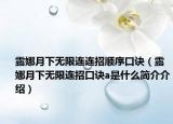 露娜月下無限連連招順序口訣（露娜月下無限連招口訣a是什么簡(jiǎn)介介紹）