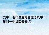 九牛一毛什么生肖百度（九牛一毛打一生肖簡(jiǎn)介介紹）