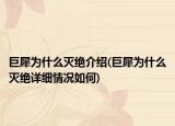 巨犀為什么滅絕介紹(巨犀為什么滅絕詳細(xì)情況如何)