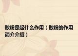 散粉是起什么作用（散粉的作用簡介介紹）