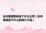 達(dá)內(nèi)集團(tuán)到底是個(gè)什么公司（達(dá)內(nèi)集團(tuán)是干什么的簡介介紹）