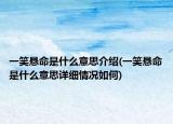 一笑懸命是什么意思介紹(一笑懸命是什么意思詳細(xì)情況如何)