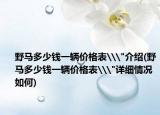 野馬多少錢一輛價格表\