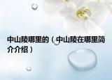 中山陵哪里的（中山陵在哪里簡介介紹）