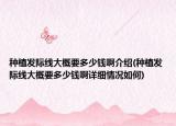 種植發(fā)際線大概要多少錢啊介紹(種植發(fā)際線大概要多少錢啊詳細(xì)情況如何)