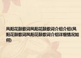 鳳陽花鼓歌詞鳳陽花鼓歌詞介紹介紹(鳳陽花鼓歌詞鳳陽花鼓歌詞介紹詳細情況如何)